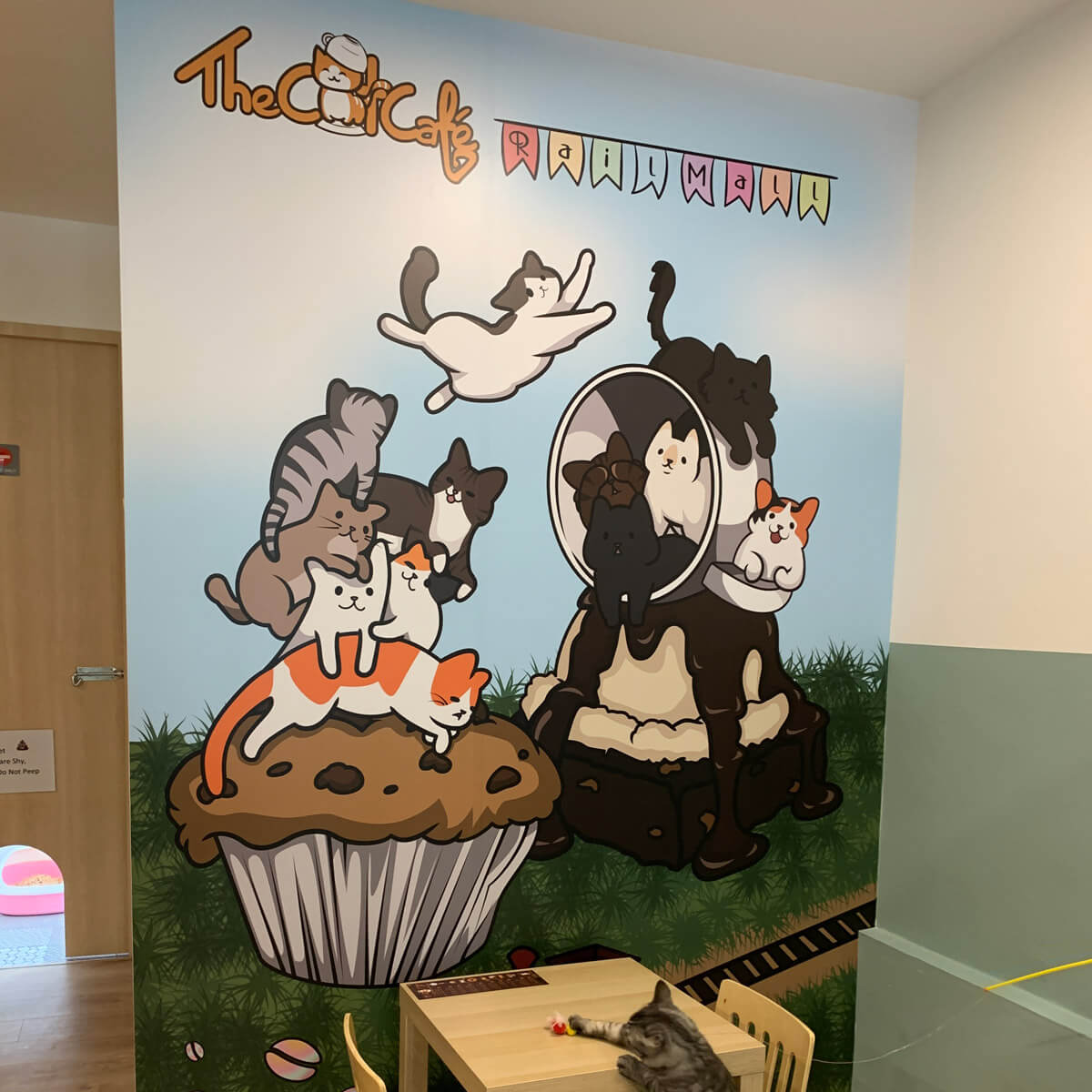 The Cat Café