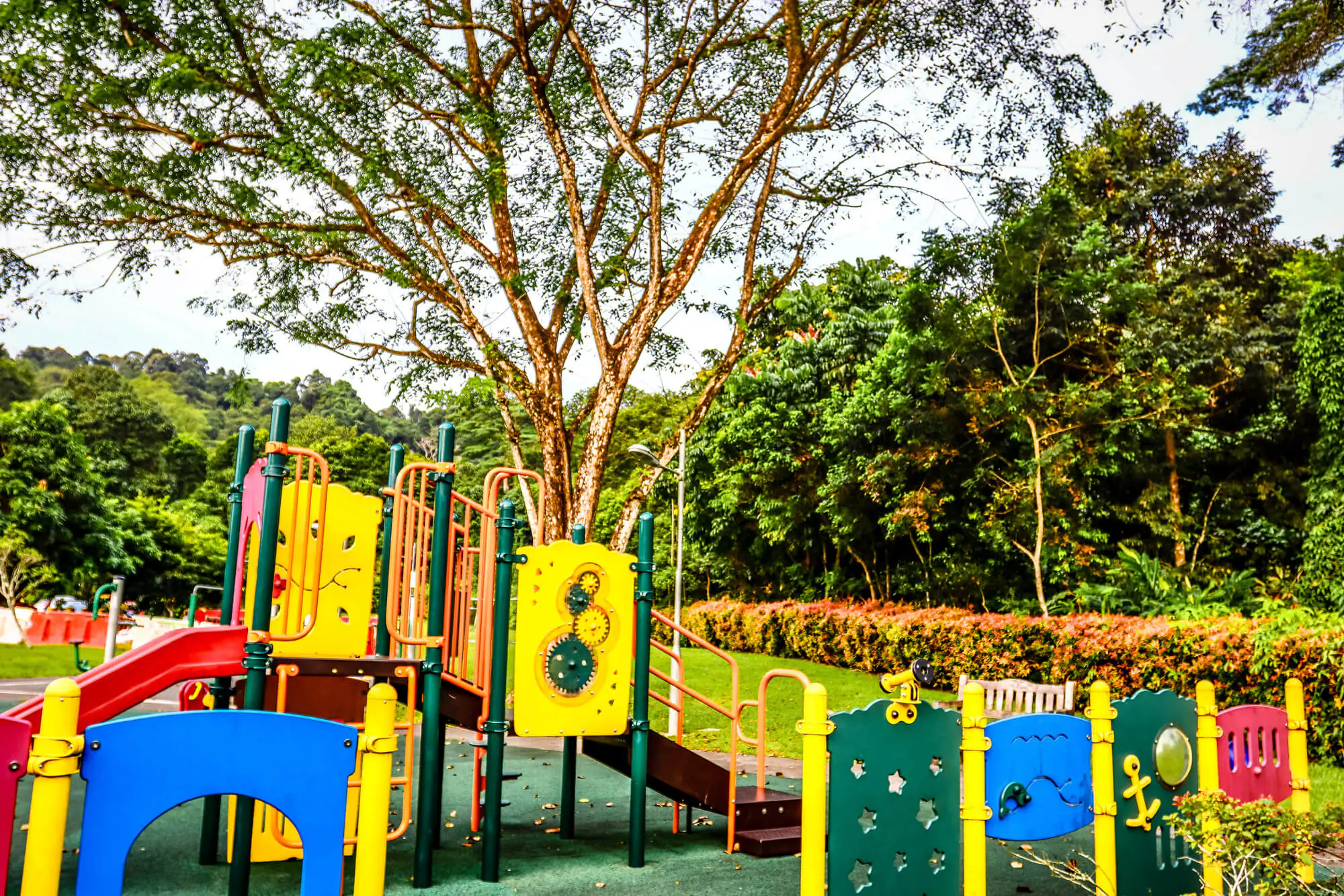 Photo Gallery Slide 4