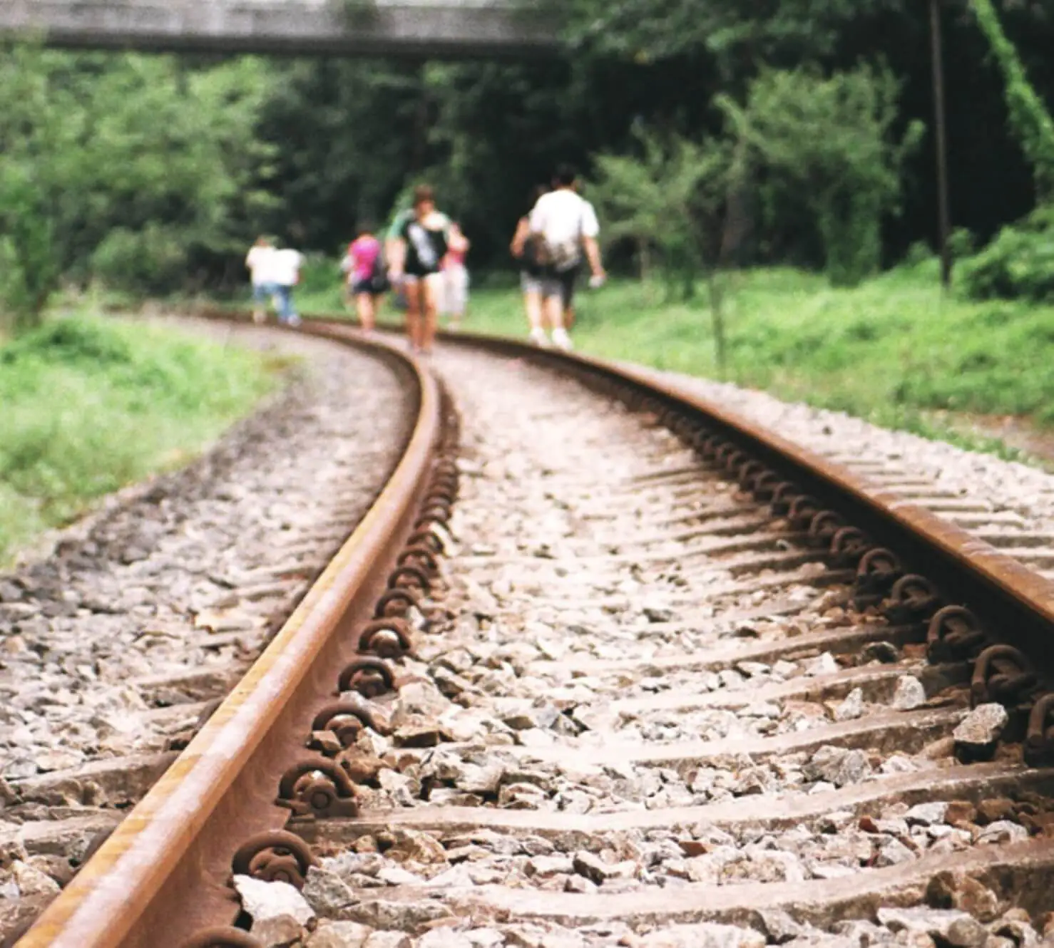 Photo Gallery Slide 5