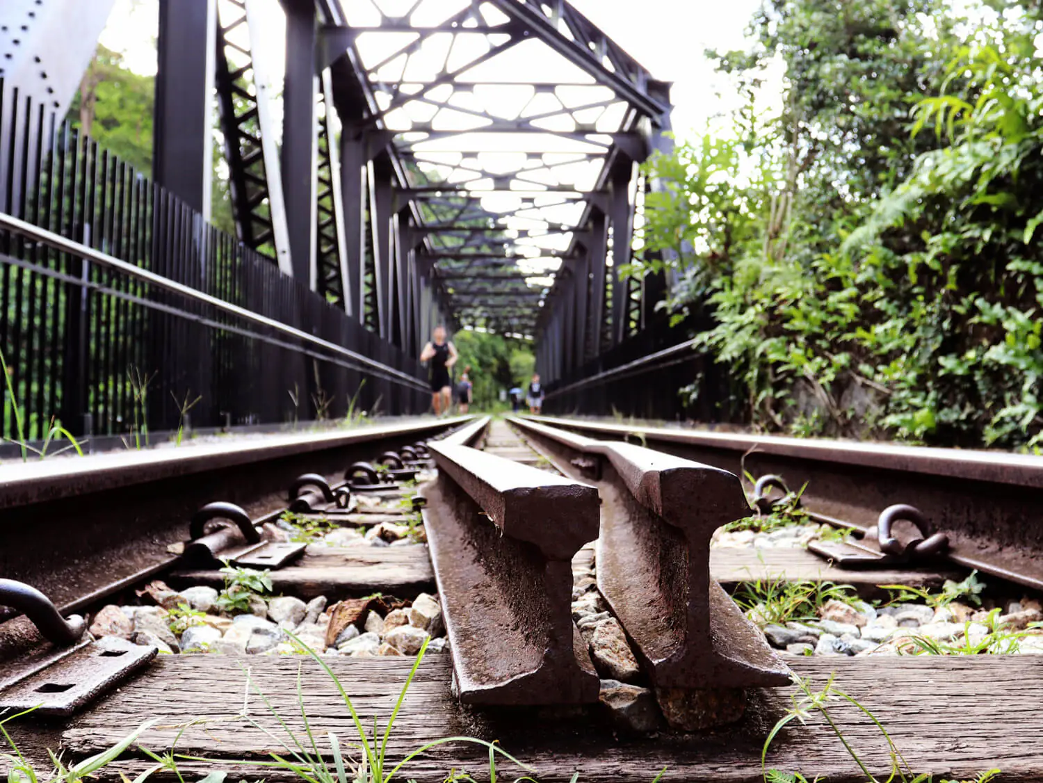 Old Tracks, Fresh Experiences