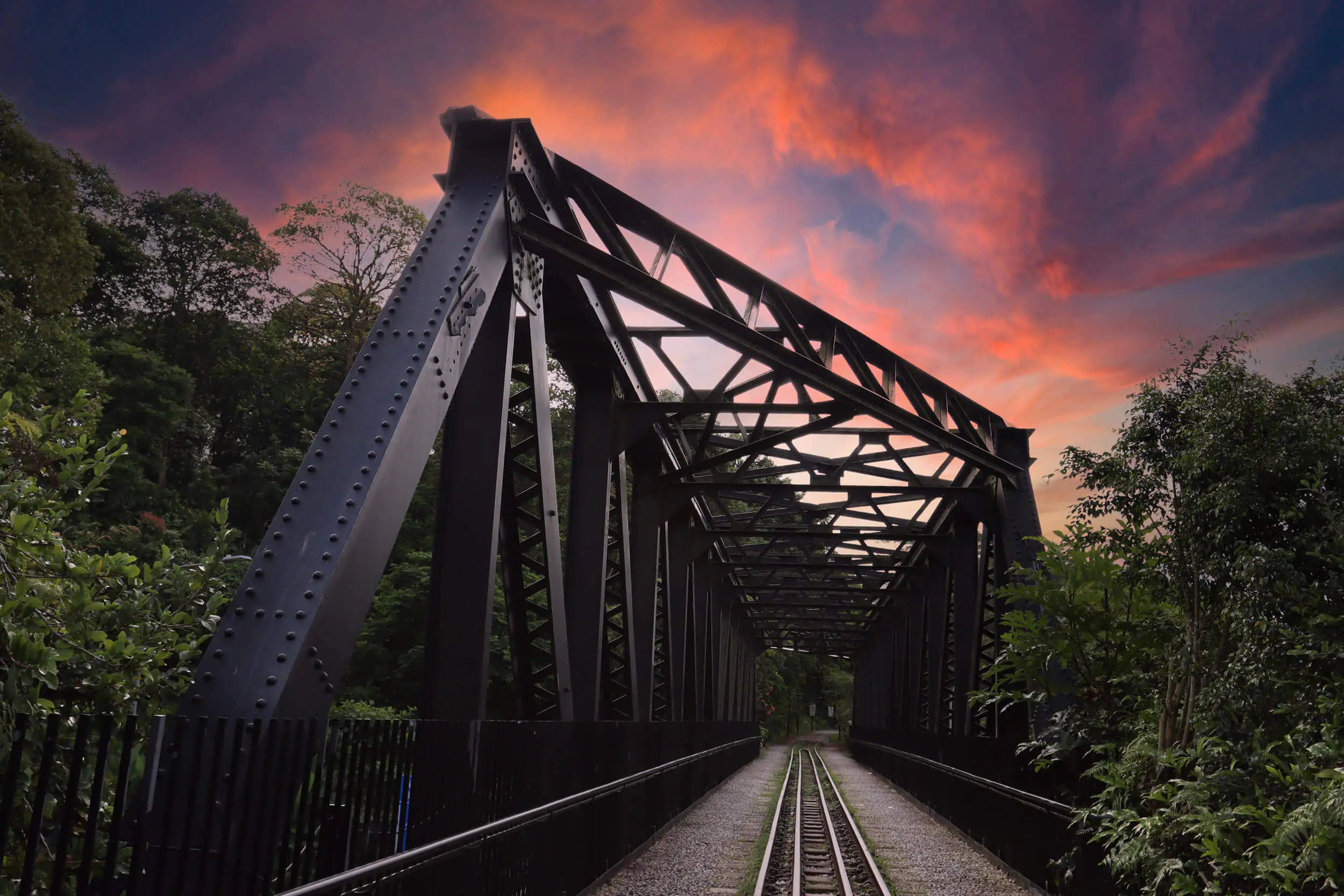 Photo Gallery Slide 10