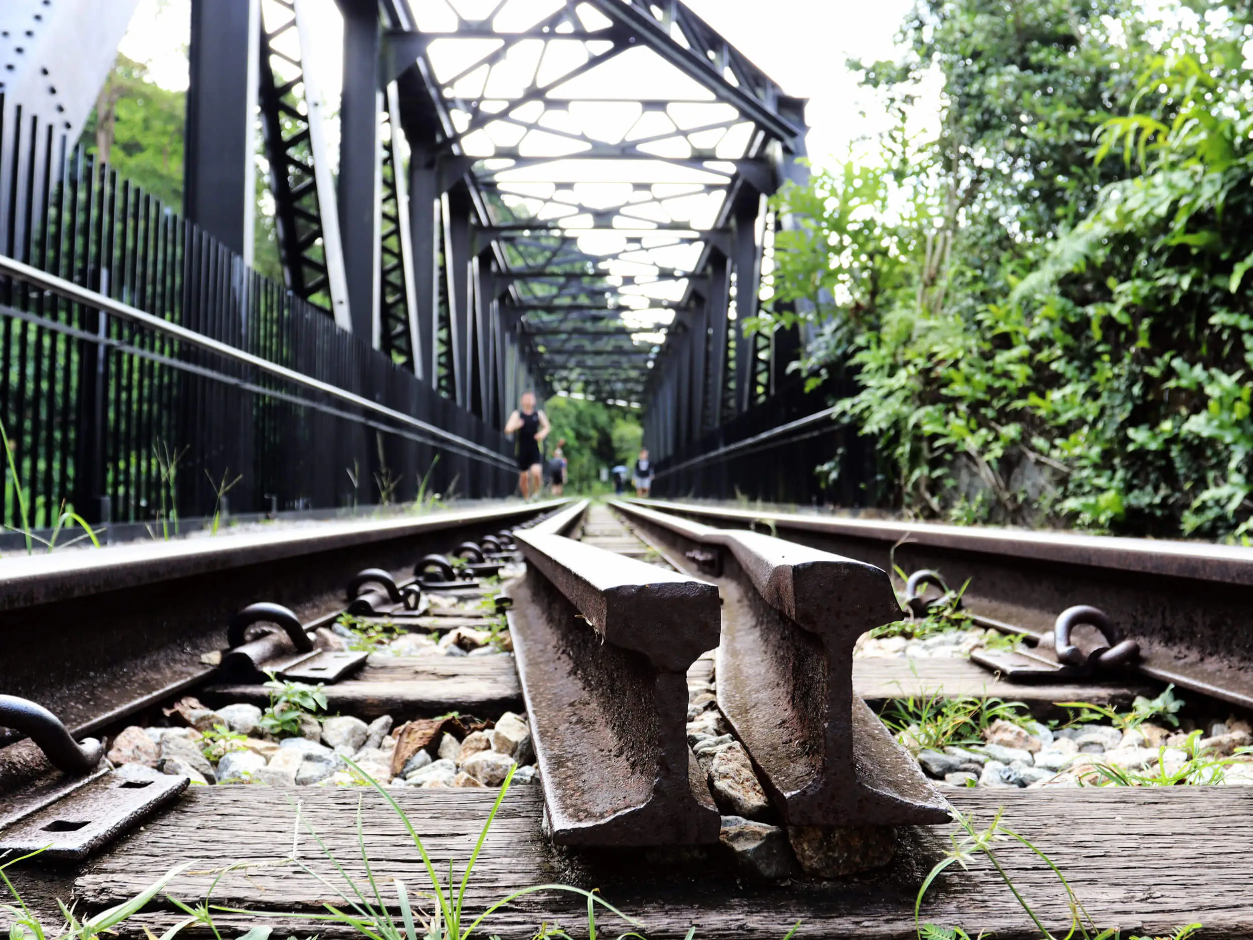 Photo Gallery Slide 8