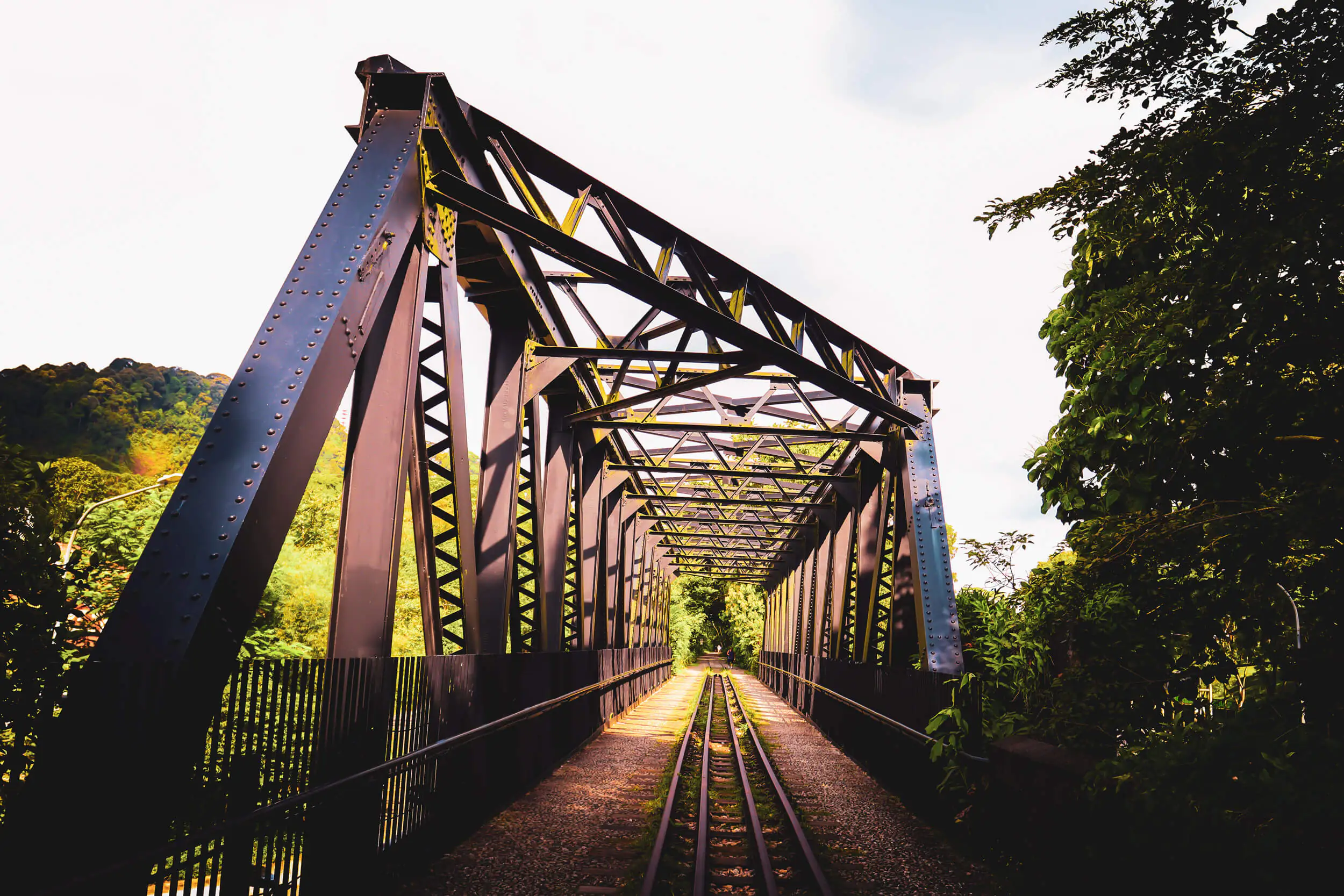 Photo Gallery Slide 9